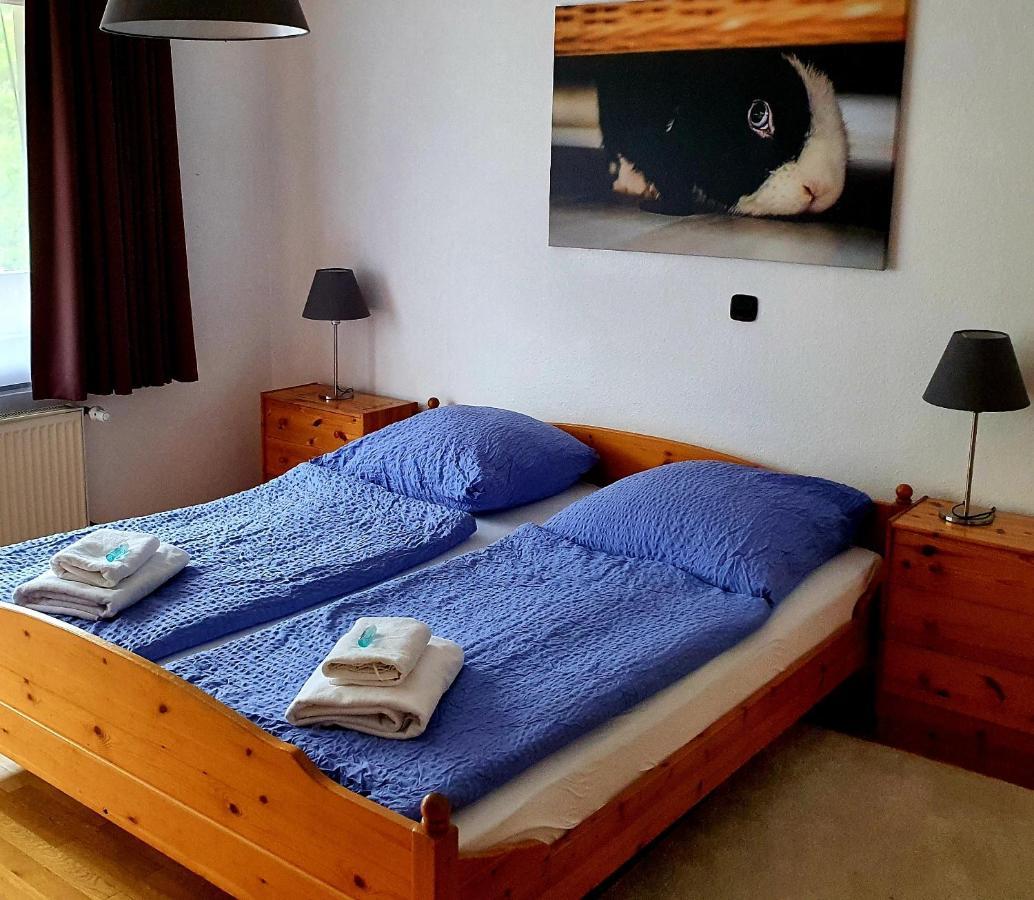Grüner Baum Otel Neckargerach Dış mekan fotoğraf